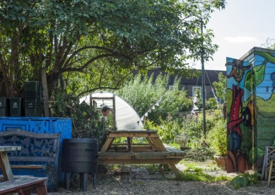 John Evelyn Community Garden