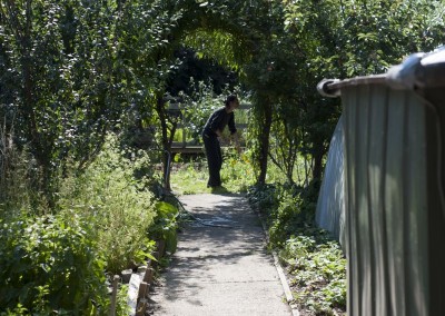 Garden Arches