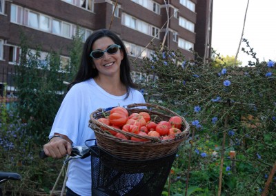 Volunteer Deptford Garden 2